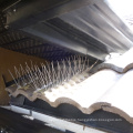 Wholesale anti Pigeon spike manufacturer and supplier for roof protection